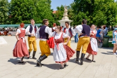 dani_češke_kulture-136