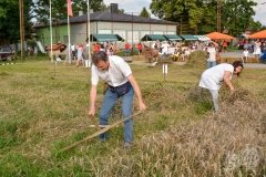 dan_ceske_kulture-34