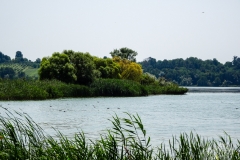 ribnjacima-20