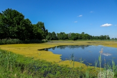image-25