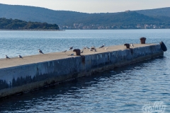 biograd-112