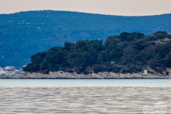 biograd-49