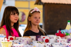 pisanica_022