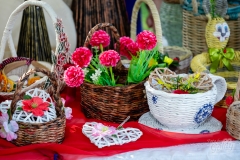 den_kultury_daruvar_2024-032