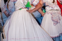 den_kultury_daruvar_2024-145