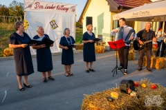 sibovec_2024-149