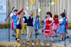 den_ceske_kultury_038