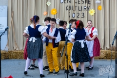 den_ceske_kultury_151