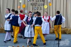 den_ceske_kultury_152