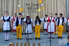 den_ceske_kultury_153