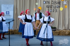 den_ceske_kultury_161