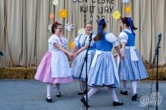 den_ceske_kultury_179