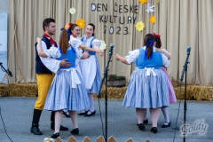 den_ceske_kultury_194