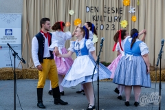 den_ceske_kultury_195