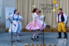 den_ceske_kultury_196