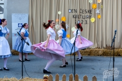 den_ceske_kultury_197