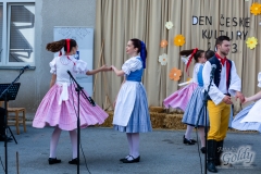 den_ceske_kultury_200