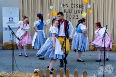 den_ceske_kultury_201