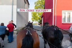 ©den-ceske-kultury-117