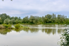 drava-1