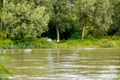 drava-3