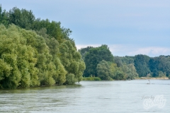 drava-5