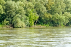 drava-7