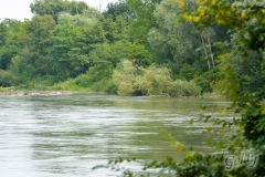 drava-8