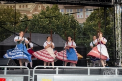 folklorni_festival-088