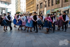 folklorni_festival-143