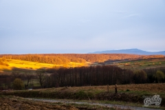 fotowalk_27