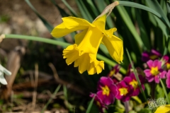 fotowalk_32