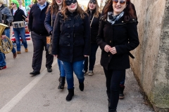 karneval-vir-2017-175