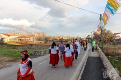 karneval-vir-2017-202