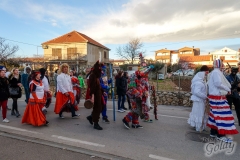 karneval-vir-2017-228