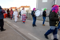 karneval-vir-2017-232