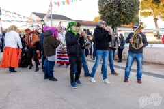 karneval-vir-2017-244