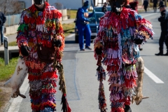 maskary2025_0488
