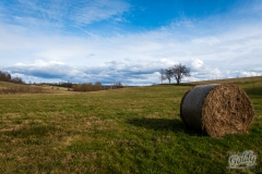 fotowalk_08