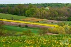landscape-2