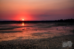 landscapephoto-1