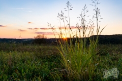 landscapephoto-13