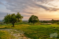 landscapephoto-2