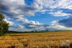 landscapephoto-31