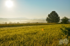 landscapephoto-6