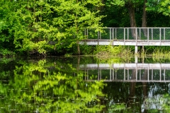 medjame_051