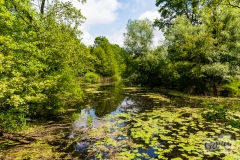 medjame_097