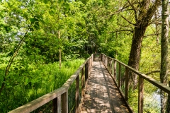 medjame_116