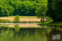 medjame_179