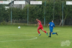 prijateljska-22